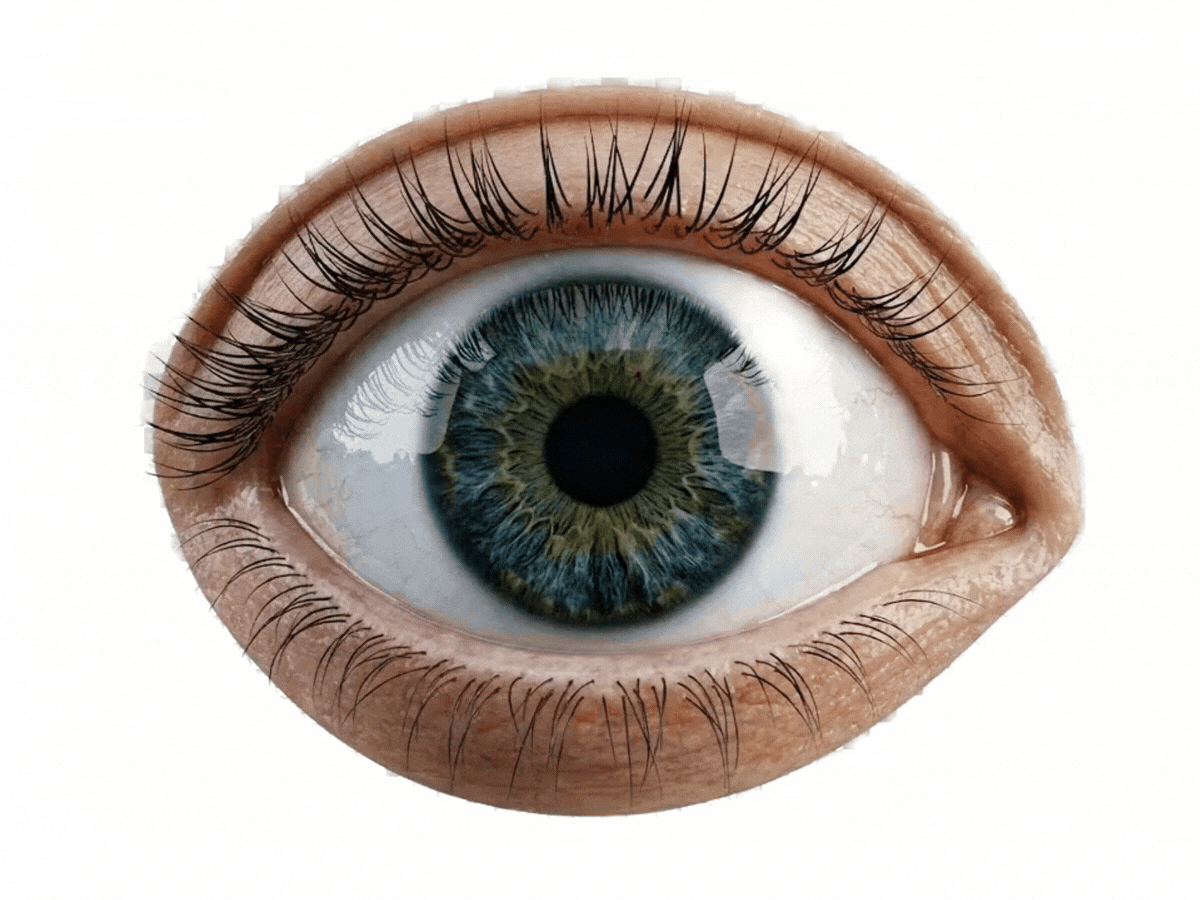 Eye blink